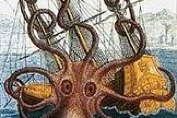 Почему не получается зайти на кракен